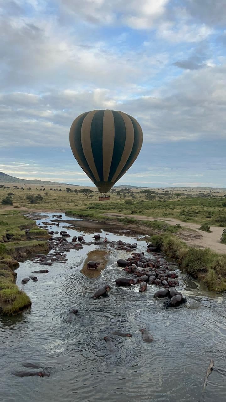 Hot air balloon descending over a river full of hippos at dawn